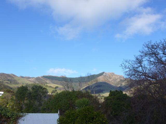 Oinako Bed & Breakfast Akaroa Værelse billede